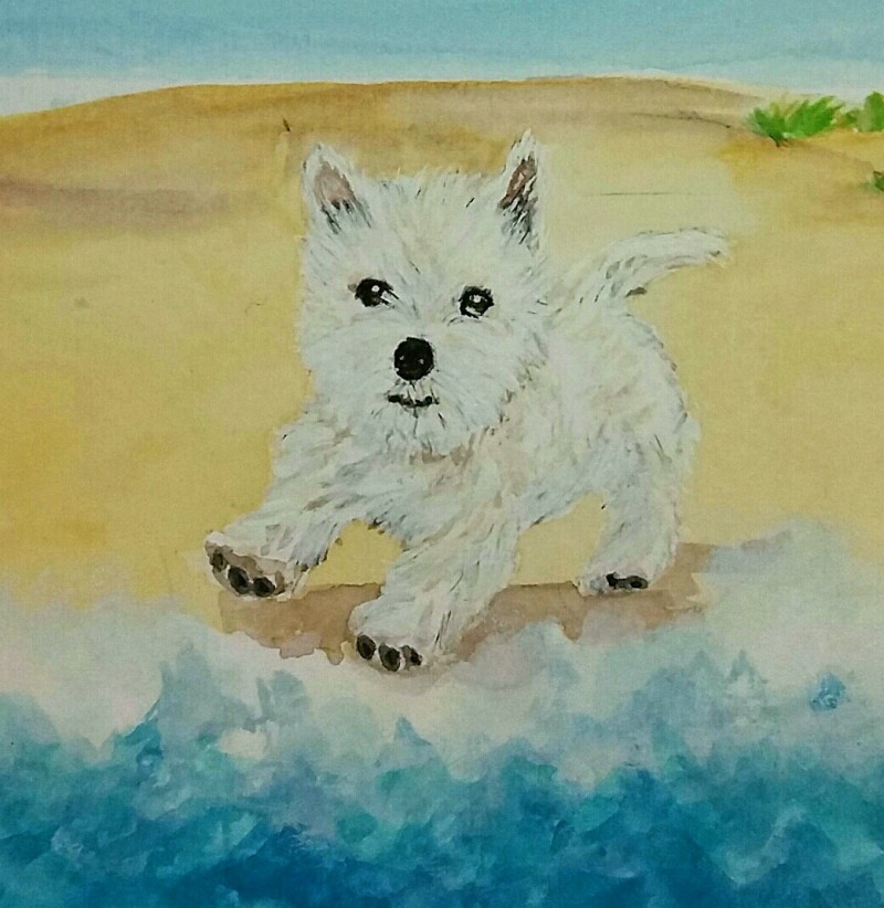 Westie Splash - Original SOLD