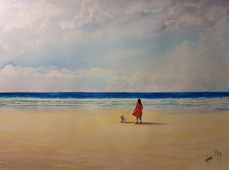 A dog walk on the beach £65